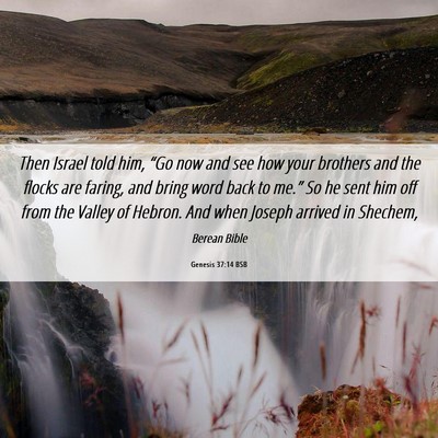 Picture 06 - Genesis 37:14 BSB - Then Israel told him, “Go now and see how your - Bible Verse Picture
