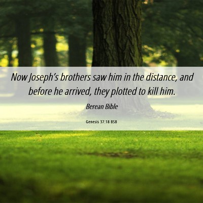 Picture 06 - Genesis 37:18 BSB - Now Joseph’s brothers saw him in the distance, - Bible Verse Picture