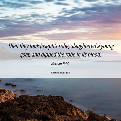 Picture 06 - Genesis 37:31 BSB - Then they took Joseph’s robe, slaughtered a - Bible Verse Picture