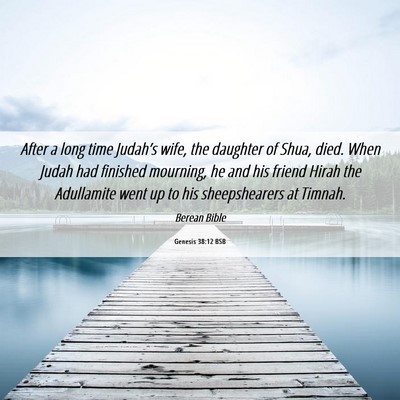 Picture 06 - Genesis 38:12 BSB - After a long time Judah’s wife, the daughter of - Bible Verse Picture