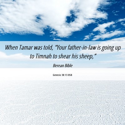 Picture 06 - Genesis 38:13 BSB - When Tamar was told, “Your father-in-law is - Bible Verse Picture
