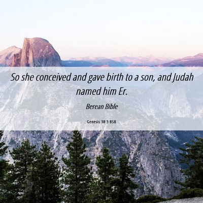 Picture 06 - Genesis 38:3 BSB - So she conceived and gave birth to a son, and - Bible Verse Picture