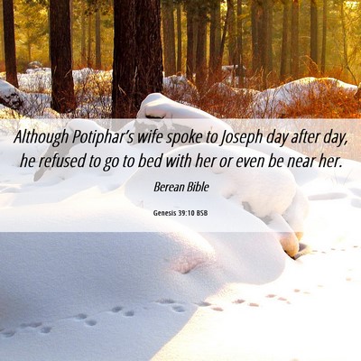 Picture 06 - Genesis 39:10 BSB - Although Potiphar’s wife spoke to Joseph day - Bible Verse Picture