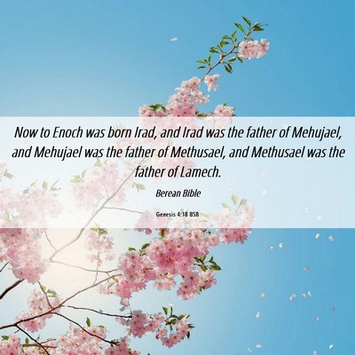 Picture 06 - Genesis 4:18 BSB - Now to Enoch was born Irad, and Irad was the - Bible Verse Picture