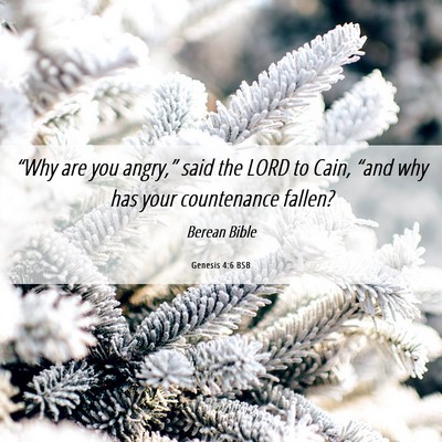 Picture 06 - Genesis 4:6 BSB - “Why are you angry,” said the LORD to Cain, - Bible Verse Picture