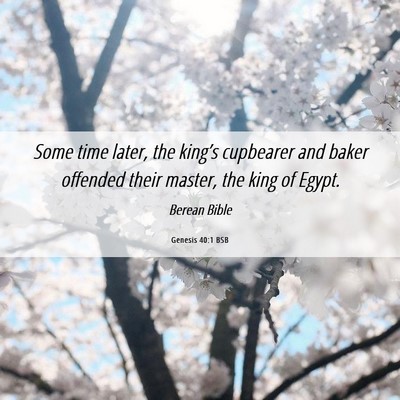Picture 06 - Genesis 40:1 BSB - Some time later, the king’s cupbearer and baker - Bible Verse Picture