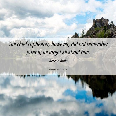 Picture 06 - Genesis 40:23 BSB - The chief cupbearer, however, did not remember - Bible Verse Picture