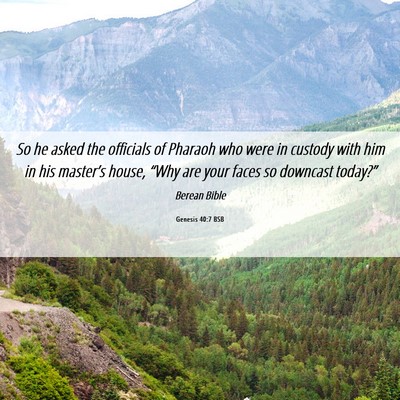 Picture 06 - Genesis 40:7 BSB - So he asked the officials of Pharaoh who were in - Bible Verse Picture