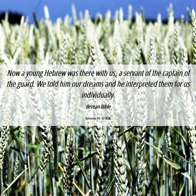 Picture 06 - Genesis 41:12 BSB - Now a young Hebrew was there with us, a servant - Bible Verse Picture