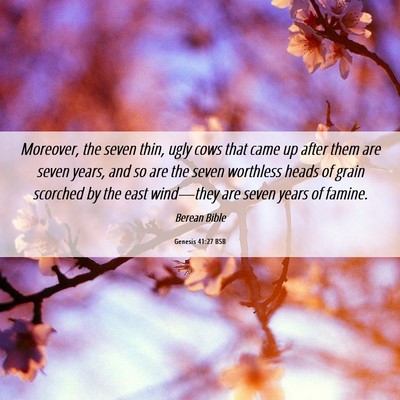 Picture 06 - Genesis 41:27 BSB - Moreover, the seven thin, ugly cows that came up - Bible Verse Picture
