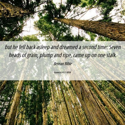 Picture 06 - Genesis 41:5 BSB - but he fell back asleep and dreamed a second - Bible Verse Picture