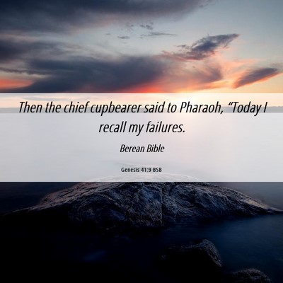 Picture 06 - Genesis 41:9 BSB - Then the chief cupbearer said to Pharaoh, - Bible Verse Picture