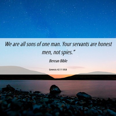 Picture 06 - Genesis 42:11 BSB - We are all sons of one man. Your servants are - Bible Verse Picture