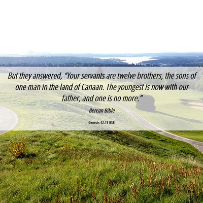 Picture 06 - Genesis 42:13 BSB - But they answered, “Your servants are twelve - Bible Verse Picture