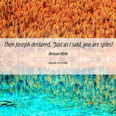 Picture 06 - Genesis 42:14 BSB - Then Joseph declared, “Just as I said, you are - Bible Verse Picture