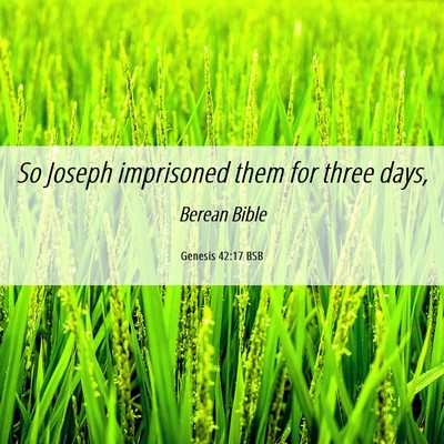 Picture 06 - Genesis 42:17 BSB - So Joseph imprisoned them for three - Bible Verse Picture
