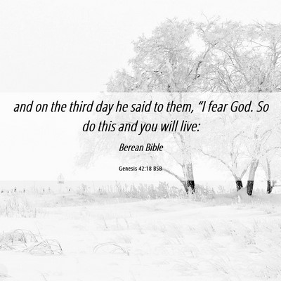 Picture 06 - Genesis 42:18 BSB - and on the third day he said to them, “I fear - Bible Verse Picture