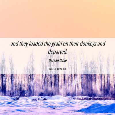Picture 06 - Genesis 42:26 BSB - and they loaded the grain on their donkeys and - Bible Verse Picture