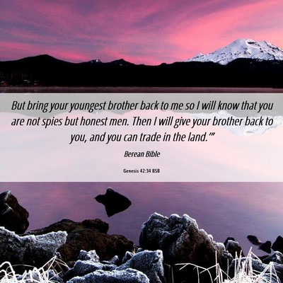 Picture 06 - Genesis 42:34 BSB - But bring your youngest brother back to me so I - Bible Verse Picture