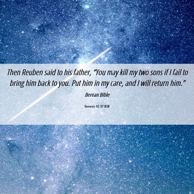 Picture 06 - Genesis 42:37 BSB - Then Reuben said to his father, “You may kill - Bible Verse Picture
