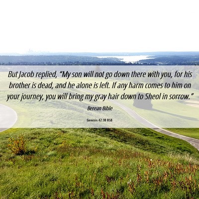 Picture 06 - Genesis 42:38 BSB - But Jacob replied, “My son will not go down - Bible Verse Picture