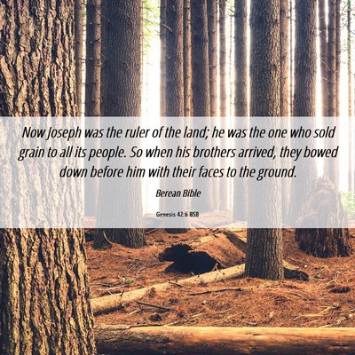 Picture 06 - Genesis 42:6 BSB - Now Joseph was the ruler of the land; he was the - Bible Verse Picture