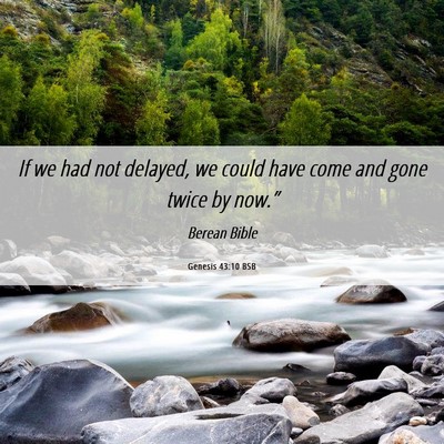 Picture 06 - Genesis 43:10 BSB - If we had not delayed, we could have come and - Bible Verse Picture