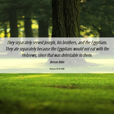 Picture 06 - Genesis 43:32 BSB - They separately served Joseph, his brothers, and - Bible Verse Picture