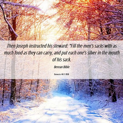 Picture 06 - Genesis 44:1 BSB - Then Joseph instructed his steward: “Fill the - Bible Verse Picture