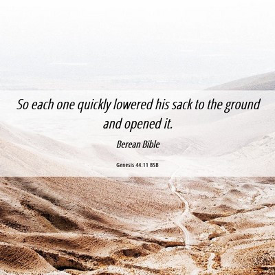Picture 06 - Genesis 44:11 BSB - So each one quickly lowered his sack to the - Bible Verse Picture