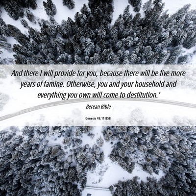 Picture 06 - Genesis 45:11 BSB - And there I will provide for you, because there - Bible Verse Picture