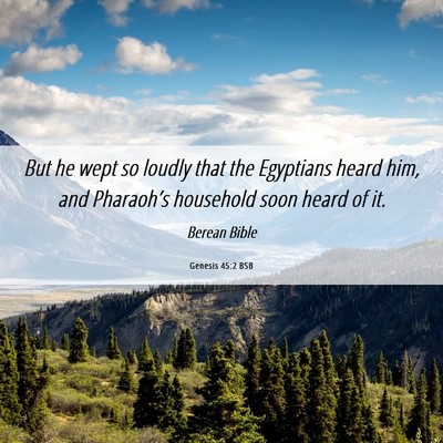 Picture 06 - Genesis 45:2 BSB - But he wept so loudly that the Egyptians heard - Bible Verse Picture