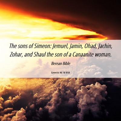 Picture 06 - Genesis 46:10 BSB - The sons of Simeon: Jemuel, Jamin, Ohad, Jachin, - Bible Verse Picture