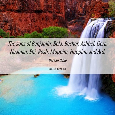 Picture 06 - Genesis 46:21 BSB - The sons of Benjamin: Bela, Becher, Ashbel, Gera, - Bible Verse Picture