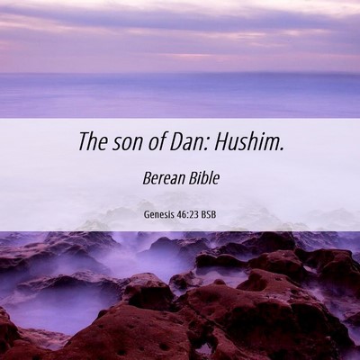 Picture 06 - Genesis 46:23 BSB - The son of Dan: - Bible Verse Picture