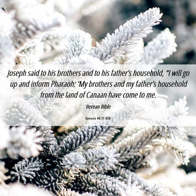Picture 06 - Genesis 46:31 BSB - Joseph said to his brothers and to his father’s - Bible Verse Picture