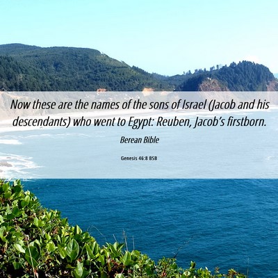 Picture 06 - Genesis 46:8 BSB - Now these are the names of the sons of Israel - Bible Verse Picture