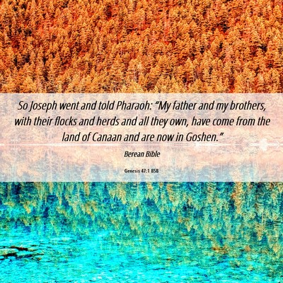 Picture 06 - Genesis 47:1 BSB - So Joseph went and told Pharaoh: “My father and - Bible Verse Picture