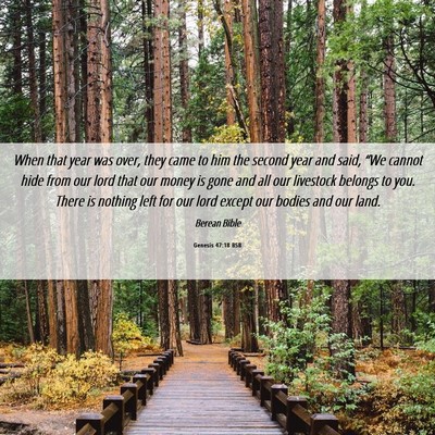 Picture 06 - Genesis 47:18 BSB - When that year was over, they came to him the - Bible Verse Picture