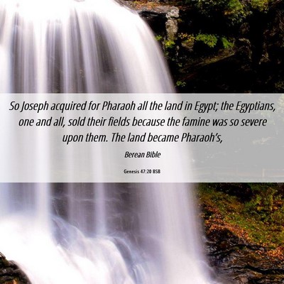 Picture 06 - Genesis 47:20 BSB - So Joseph acquired for Pharaoh all the land in - Bible Verse Picture