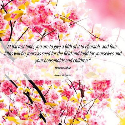 Picture 06 - Genesis 47:24 BSB - At harvest time, you are to give a fifth of it to - Bible Verse Picture