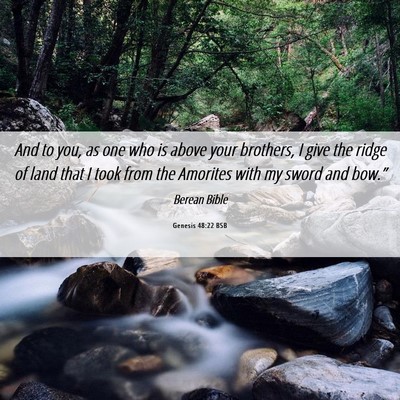 Picture 06 - Genesis 48:22 BSB - And to you, as one who is above your brothers, I - Bible Verse Picture