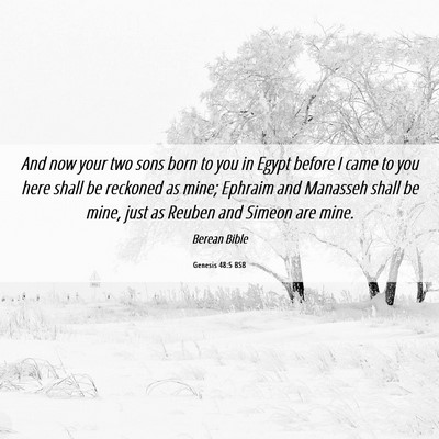 Picture 06 - Genesis 48:5 BSB - And now your two sons born to you in Egypt before - Bible Verse Picture