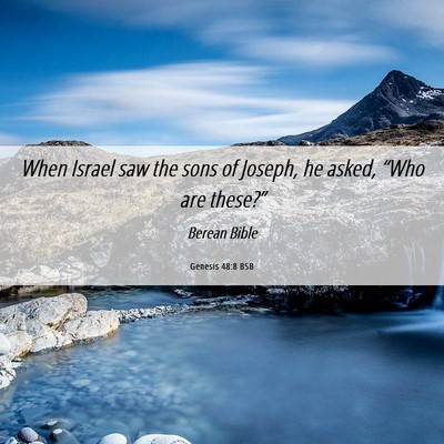 Picture 06 - Genesis 48:8 BSB - When Israel saw the sons of Joseph, he asked, - Bible Verse Picture