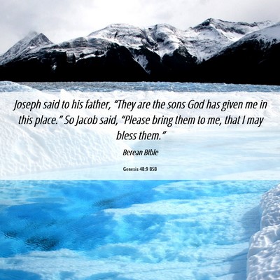 Picture 06 - Genesis 48:9 BSB - Joseph said to his father, “They are the sons - Bible Verse Picture