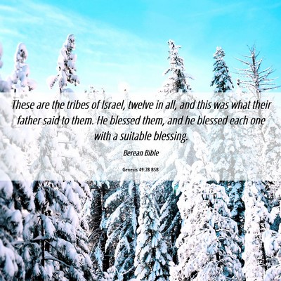Picture 06 - Genesis 49:28 BSB - These are the tribes of Israel, twelve in all, - Bible Verse Picture