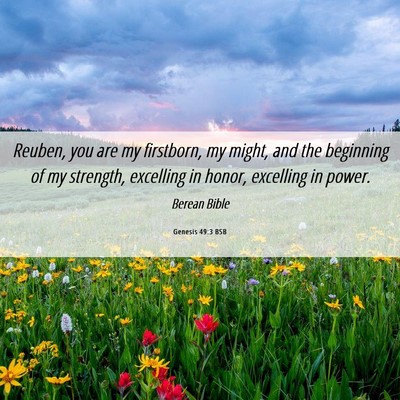 Picture 06 - Genesis 49:3 BSB - Reuben, you are my firstborn, my might, and the - Bible Verse Picture
