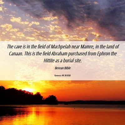 Picture 06 - Genesis 49:30 BSB - The cave is in the field of Machpelah near Mamre, - Bible Verse Picture