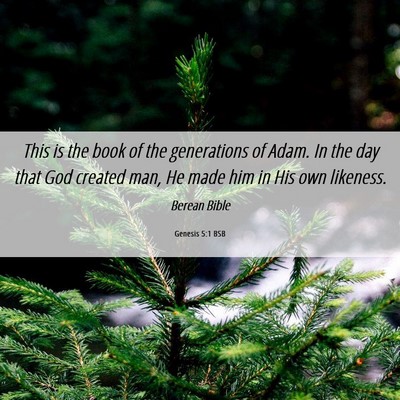 Picture 06 - Genesis 5:1 BSB - This is the book of the generations of Adam. In - Bible Verse Picture