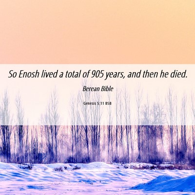 Picture 06 - Genesis 5:11 BSB - So Enosh lived a total of 905 years, and then he - Bible Verse Picture